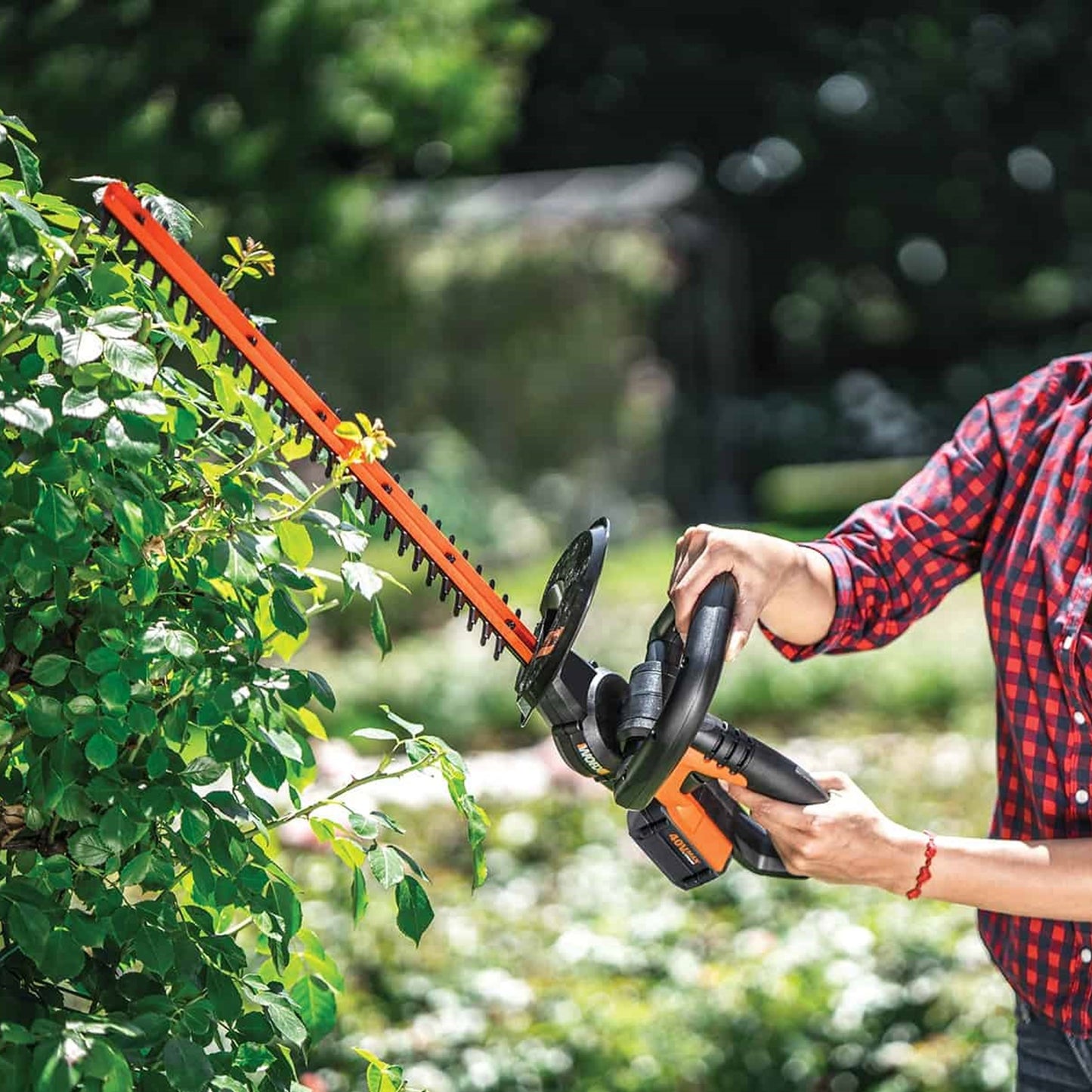 WG259E 20V Cordless Hedge Trimmer