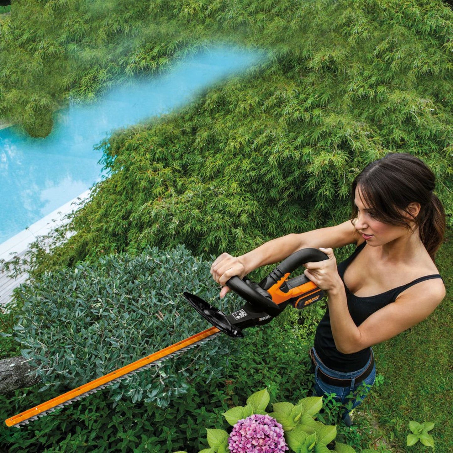 WG259E 20V Cordless Hedge Trimmer